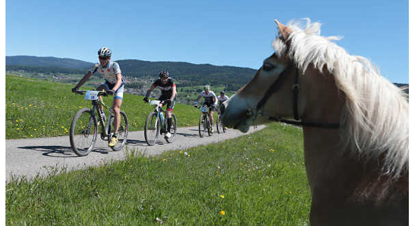 adesioni-di-spessore-alla-valdinon-bike-jpg