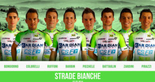 bardiani-csf-pro-team-10-jpg