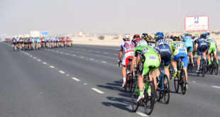 bardiani-csf-pro-team-tour-of-qatar-1-jpg