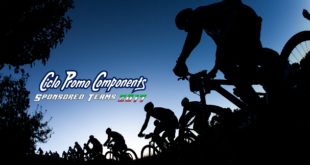 ciclo-promo-components-supporta-i-team-e-ne-valorizza-i-feedback-2-jpg