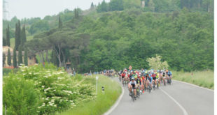 conto-alla-rovescia-per-la-granfondo-vernaccia-jpg