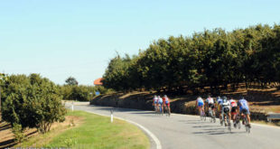 granfondo-della-nocciola-alta-langa-ai-nastri-di-partenza-jpg