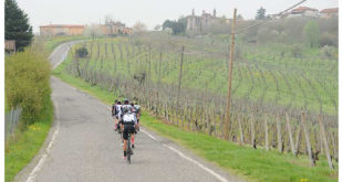 granfondo-di-santangelo-lodigiano-jpg