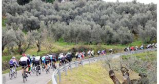 granfondo-inkospor-val-di-cecina-8-jpg