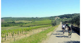 granfondo-la-vernaccia-jpg