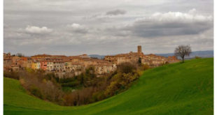 granfondo-vernaccia-11-jpg