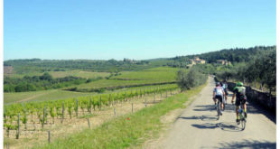 granfondo-vernaccia-8-jpg