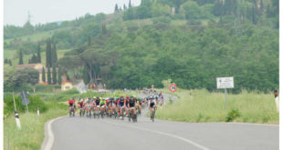 granfondo-vernaccia-sbaragli-un-percorso-esigente-e-affascinante-jpg