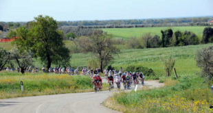 green-fondo-paolo-bettini-1-jpg