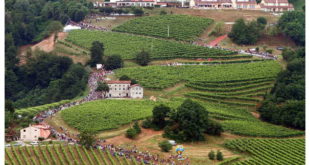 il-giro-ditalia-sul-muro-di-ca-del-poggio-1-jpg