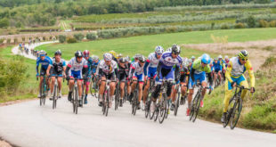 istria-granfondo-5-jpg