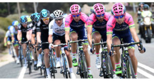 lampre-merida-tour-down-under-jpg