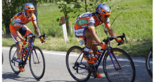 nippo-vini-fantini-68-jpg