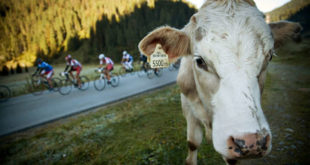 oetztaler-radmarathon-2014-jpg