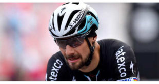 operato-tom-boonen-jpg