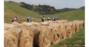 parterre-de-roi-alla-lessinia-bike-jpg