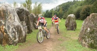 pronti-in-sella-alla-3t-bike-jpg