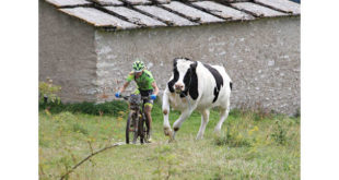 rabensteiner-artiglia-la-lessinia-bike-jpg