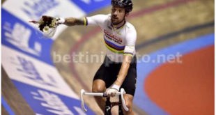 sir-wiggins-dice-stop-1-jpg