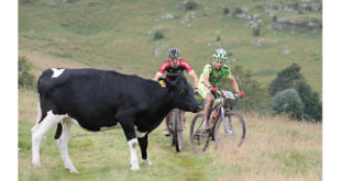 trentino-mtb-ha-scollinato-jpg