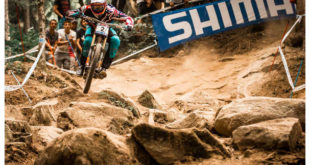 world-cup-dh-1-jpg