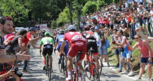 il-mur-de-bretagne-si-unisce-a-ca-del-poggio-e-grammont-jpg