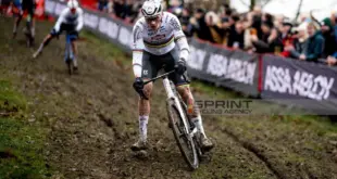 Mathieu van der Poel trionfa nel ciclocross a Loenhout